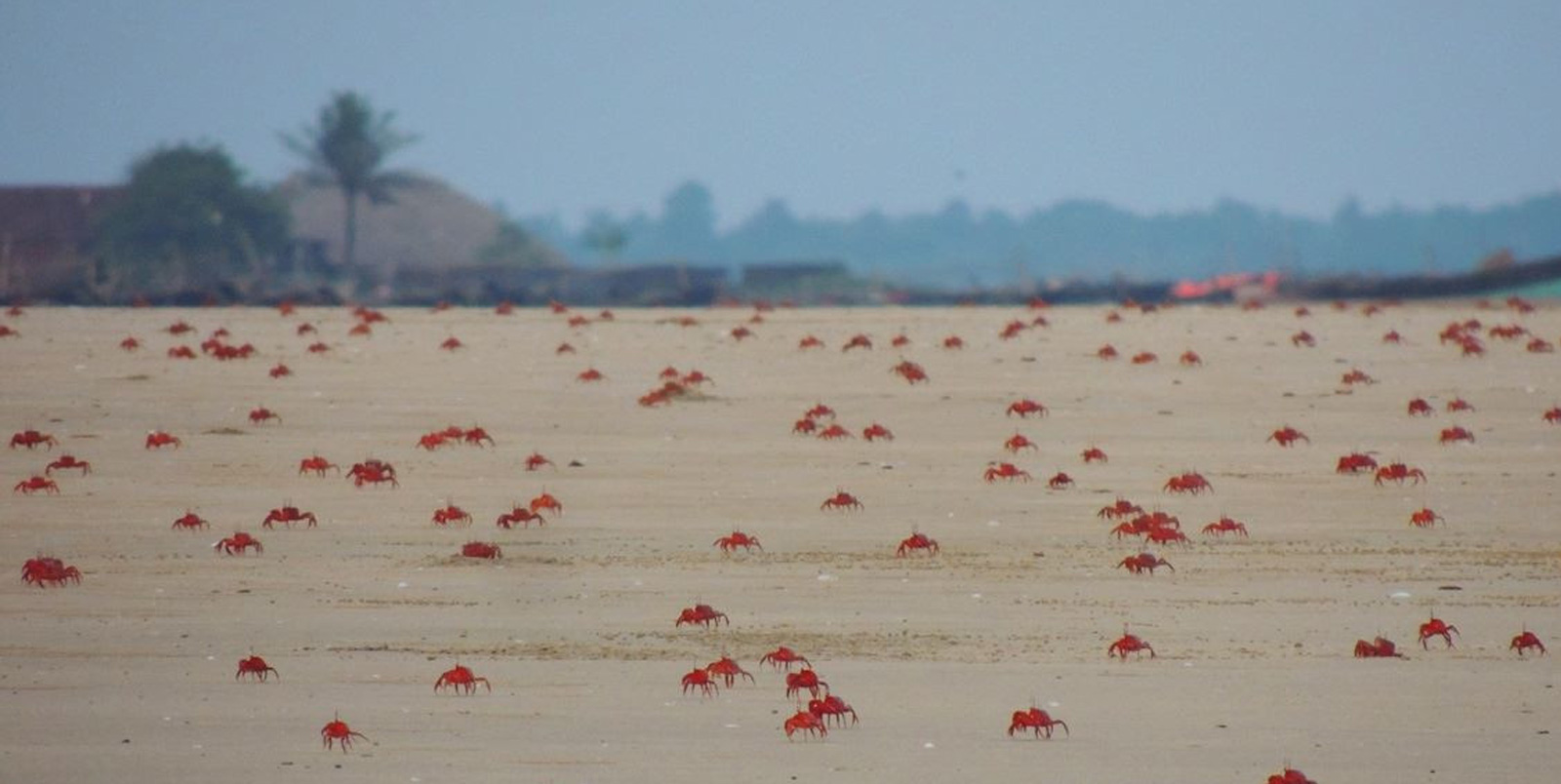 Beautiful Beach Resort
